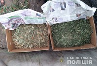 У місті Кам’янка-Дніпровська співробітники поліції вилучили 7 кг марихуани та кілька десятків кущів конопель