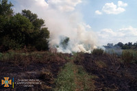 Павлоградський район: вогнеборці ліквідували загорання сухої трави на площі 3 га