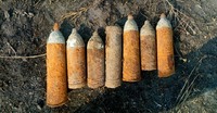 Волинь: сапери ДСНС ліквідували 11 боєприпасів часів минулої війни, які напередодні знайшли громадяни у лісі під час збирання грибів