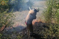 За минулу добу вогнеборці ліквідували 13 пожеж на відкритій території
