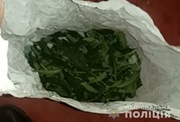 На вихідних поліцейські вилучили наркотики у чотирьох жителів Житомирщини