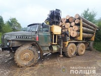 Поліцейські Сваляви затримали вантажівку з нелегальною деревиною