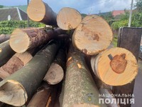 Протягом останнього тижня закарпатські поліцейські вилучили нелегальної деревини на понад 100 тисяч гривень