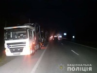 На Житомирщині поліція з'ясовує обставини ДТП за участі міжнародного автобуса та автовоза