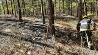 Минулої доби на території області ліквідовано 4 пожежі у лісових масивах