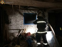 На Вінниччині ліквідовано пожежу в господарчій споруді