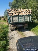 На Буковині поліцейські викрили два порушення у лісовій галузі