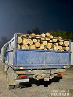 У Чернівецькому районі поліцейські викрили два незаконні перевезення лісодеревини