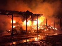 У селищі Дубове пожежа знищила деревообробний цех та корівник. Загинула людина