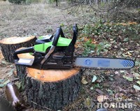 Черняхівські поліцейські затримали двох жителів Потіївської громади під час незаконної порубки дерев