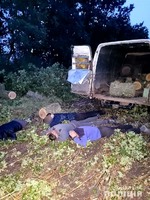 На Миколаївщині поліцейські викрили групу «чорних лісорубів»