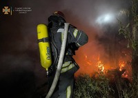 Кіровоградська область: минулої доби рятувальники загасили 3 пожежі, одну з яких – спільно з місцевою пожежною командою