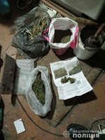 На Дніпропетровщині в ході трьох обшуків поліцейські виявили плантацію конопель та наркотичні речовини