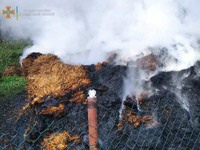 Самбірський район: пожежа на приватному господарстві
