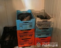 На Київщині правоохоронці скерували до суду обвинувальний акт стосовно злочинного угруповання рибних браконьєрів