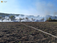 Миколаївська область: минулої доби рятувальники 11 разів залучались до ліквідації пожеж на відкритих територіях