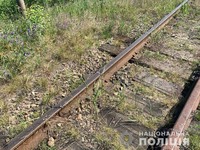 У Сарнах оперативники викрили зловмисника, який викрав конструкції залізничної колії