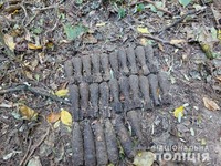 Жителі Сумщини виявили артилерійські снаряди та мінометні міни часів Другої світової війни