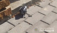 На Київщині муляж бойової гранати Ф-1 виявили співробітники поліції охорони у дворі охороняємого будинку