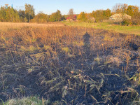 За минулу добу на Львівщині зареєстрували 6 пожеж сухої трави