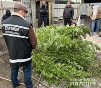 На Кіровоградщині правоохоронці викрили організовану злочинну групу наркозбувачів