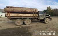 Міжгірські поліцейські затримали вантажівку з нелегальною деревиною