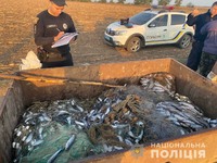 Рейдова група у складі поліцейських, прикордонників та рибоохоронного патруля викрила на Тузлівських лиманах браконьєрів з уловом кефалі