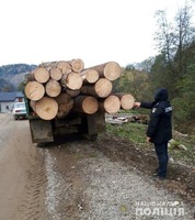 У Вижницькому районі поліцейські викрили крадія лісодеревини