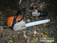 У Баштанському районі поліцейські викрили "чорних лісорубів", які налагодили незаконну вирубку дерев породи «дуб» 