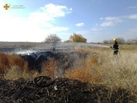 За минулу добу в області ліквідовано 8 випадків загорання сухої трави та сміття на відкритих територіях