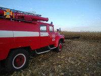 Валківські рятувальники ліквідували пожежу на кукурудзяному полі