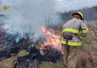 Кіровоградська область: протягом доби виникло 5 пожеж сухої рослинності та сміття на відкритій місцевості