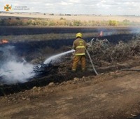 Рятувальники Херсонщини за добу ліквідували три пожежі в екосистемах