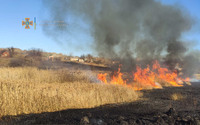 Харківська область: за добу рятувальники ліквідували 37 пожеж в природних екосистемах та на відкритих територіях