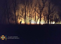 За минулу добу на території області рятувальники ДСНС та МПО ліквідували 33 пожежі в екосистемах