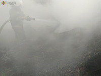 Миколаївська область: рятувальники ліквідували пожежу автомобільних покришок