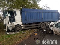 Правоохоронці встановлюють обставини смертельного ДТП на Звенигородщині