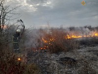 Одеська область: рятувальники ліквідували загорання сухої рослинності