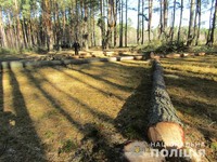 Поліцейські Овруцького відділу затримали нелегальних лісорубів