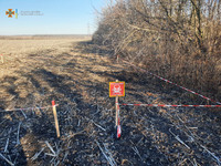 Звенигородський район: на полі знайдено 2 вибухонебезпечні предмети