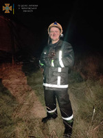 Чернігівські рятувальники прихистили кішечку, яку врятували під час пожежі