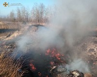 Вишгородський район: рятувальники ліквідували загорання сміття