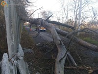 На Вінниччині рятувальники прибрали з автошляхів повалені вітром дерева