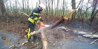 Протягом вихідних Волноваські рятувальники двічі залучались до прибирання аварійних дерев