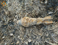 Сумська область: піротехніки ДСНС знешкодили боєприпаси, на які натрапили грибники