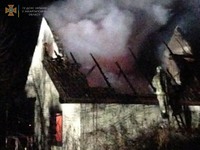 У Виноградові на пожежі в дачному будинку бійці ДСНС врятували людину
