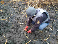 Кременчуцький район: піротехніки знищили застарілу мінометну міну