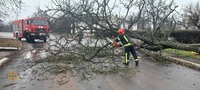 Протягом минулої доби рятувальники Донеччини дванадцять разів надавали допомогу з розпилювання та прибирання дерев, які падали через сильні пориви вітру