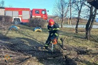 Рятувальники Донеччини тричі за добу допомагали прибирати аварійні дерева