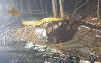 На Харківщині рятувальники вивільнили двох постраждалих з авто, на яке в результаті ДТП впало дерево